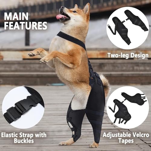 Genouillère pour chien arthrite et problème de LCA solution soutien douleur noir S