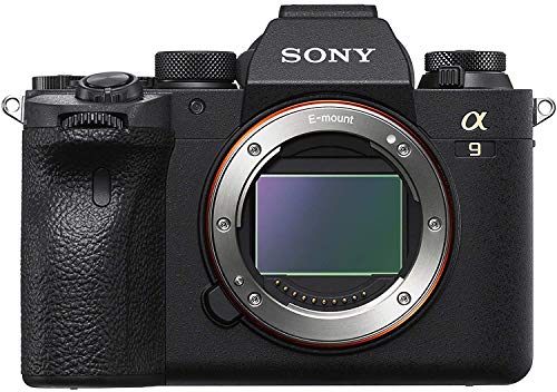 Sony Alpha 9 Ii Mirrorless Camera Bundle With Extra Battery, 2X 64Gb Sdxc Card, Gadget Bag, Dually Charger, Accessory Rollup, Monopod + More | Sony A 9Ii #TOP2