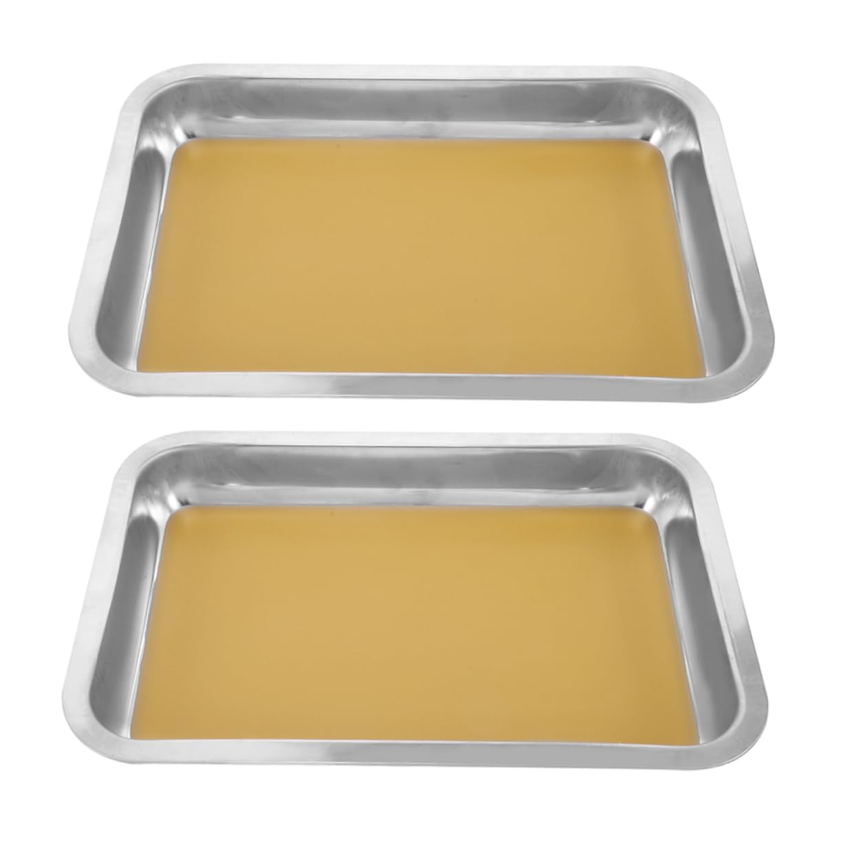 Vaschetta per Dissezione A4 in Acciaio Inox, Set 2 Pezzi