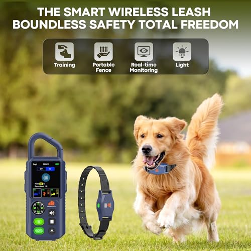 Dog with wireless collar outdoors