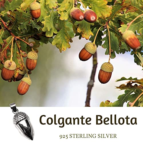 Minoplata Colgante Bellota de Plata de Ley 925 un diseño Original para Hombres y Mujeres