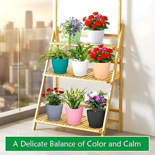 Image of SWAPKART (Pack of 5 6 Inch Plastic Flower Pots for Indoor & Outdoor Terrace,Garden Plants Decorative Planters with Drainage Holes & Matching Saucers Durable & Lightweight (Multicolour)