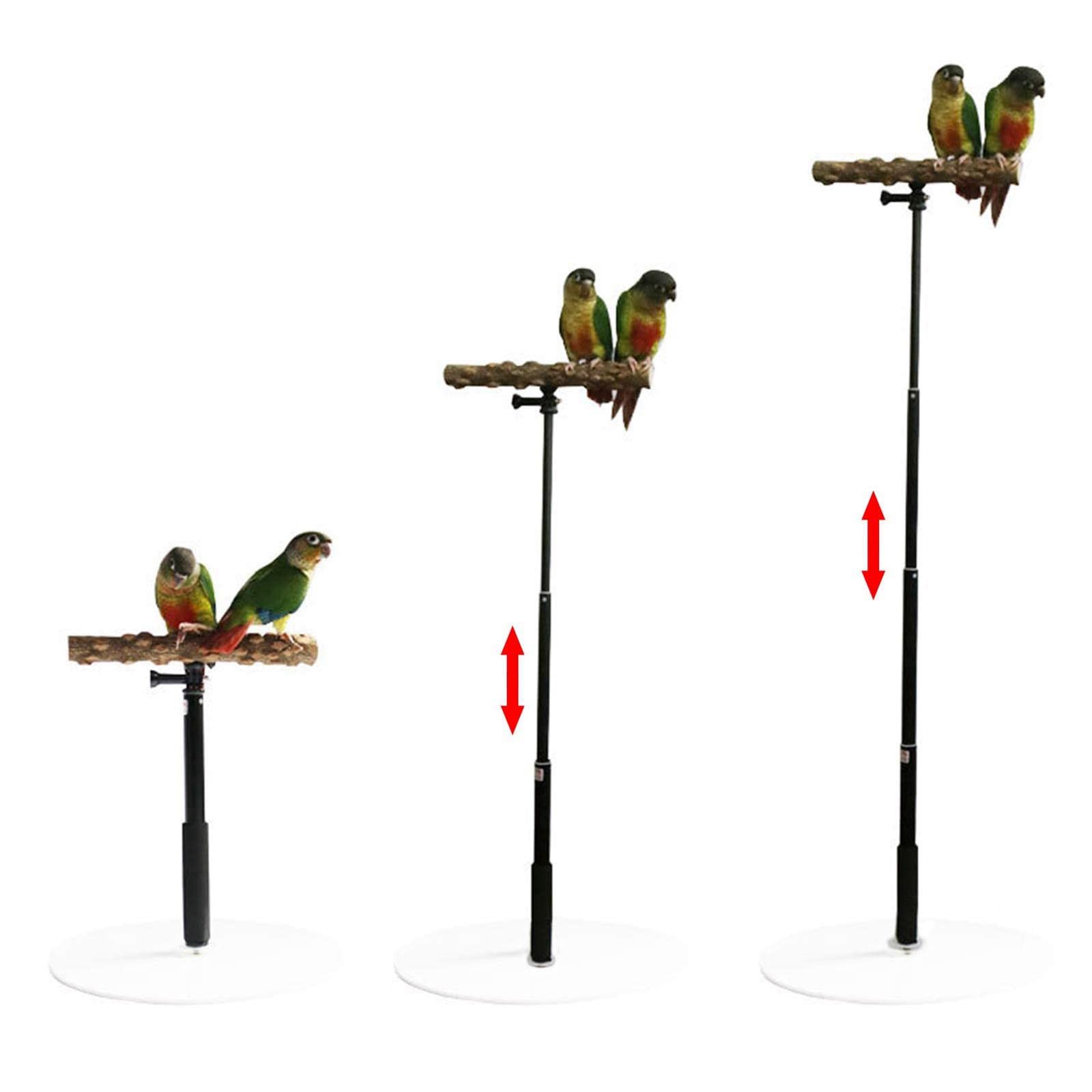 Vogelstange Holz Parrot Training T Stand Sitz Spielplatz Leiter Funktion Unterstützt Mentale Und Körperliche Entspannung für Tisch Büro Fensterbank Kä