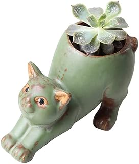123Arts Ceramic Succulent Flower Pot Cat Shape Succulent Flower Pot Desk...