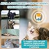 Woyamay Diffusore Feromoni per Gatti con 1 Diffusore + 2 Ricariche 48 ml, Calmante eTranquillante per Gatti, Antistress Gatto Fino a 60 Giorni
