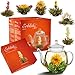 Creano Flowering Tea Gift Set - White Tea – 6 Blooming Tea with 17oz Glass Teapot