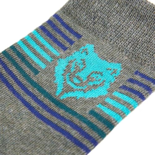 Chaussettes enfants EU 26-29 en coton lot de 5 paires avec motif lion