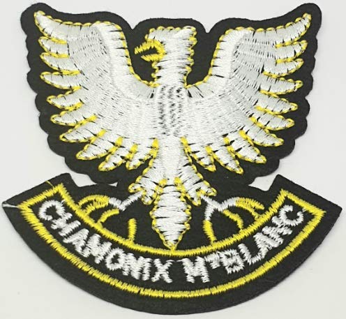 REENA Embroidered Sew on Patches Combo for Clothes Jackets Pants Jeans Bags Boutique Multicolour Different Embroidery Stitching Patches (Eagle Chamonix 3 x3 inch, 1)