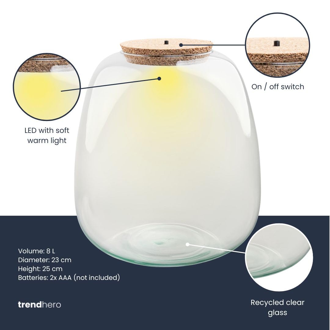 urbanjngl - Terrarium Glas 'Emma' mit LED-Korken - Geschlossenes Terrarium Ø 23 cm, Höhe 25 cm - Ideal für Pflanzen und Dekoration, modernes Design