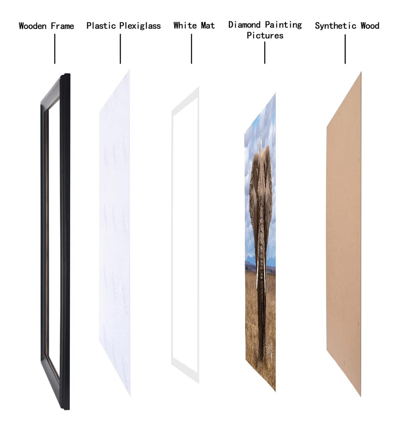 LTYHHK Cornice Panoramica In Legno Massello 20x61 Cm - Con Passepartout 15x55 Cm, Vetro Organico Antisfondamento - 3