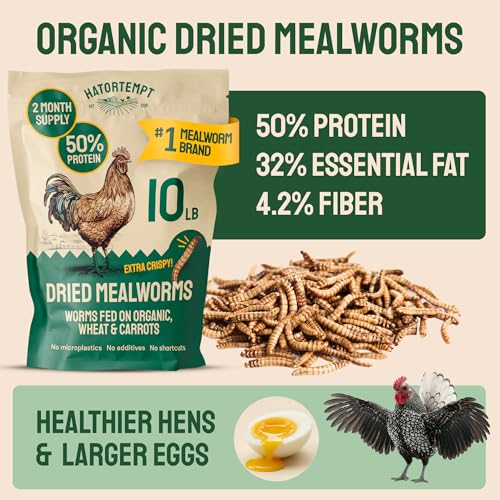 Hatortempt Dried Mealworms for Chickens - Organic Chicken Feed Supplement - Mealworms 10 lbs - 50% Protein, for Poultry and Wild Birds - Image 3
