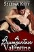 A Baumgartner Valentine (The Baumgartners)