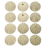 FONDOTIN 18 Piezas Conchas Naturales de Erizo de Mar para Relleno de Jarrones Decoración de Playa Accesorios DIY Manualidades Decoración Artística Hogar Bodas Fiestas