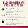 Celestial Seasonings Peppermint Herbal Tea, Caffeine Free, 20 Tea Bags Box (Pack of 6)
