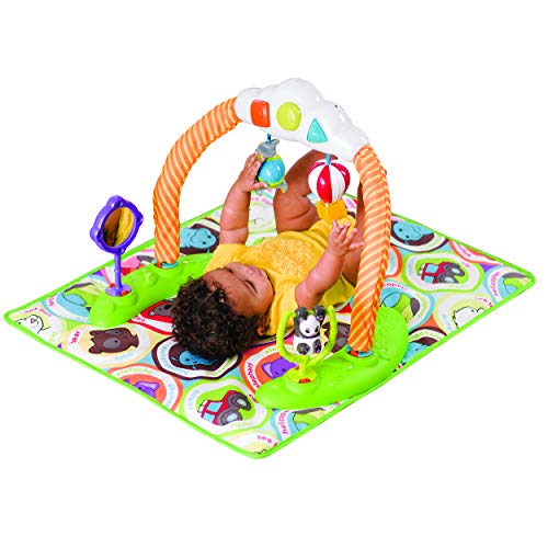 exersaucer world explorer