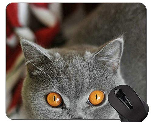 マウスパッド、Shorthair猫プリントマウスパッドアンチスリップ、ステッチされたエッジを持つ猫マウスパッド