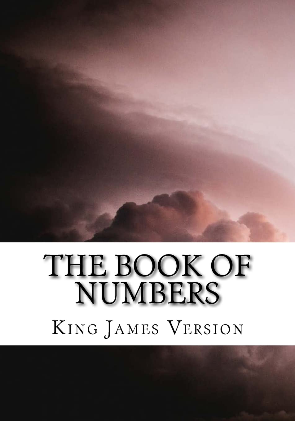 The Book of Numbers (KJV) (Large Print): Volume 4 (The Bible, King James Version)