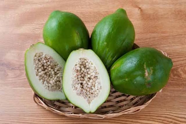 Willvine Super Sweet Papaya Seed-VXI-22O-picture-21