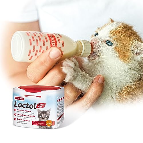Lactol Kitten Milk Leche en Polvo 250gr