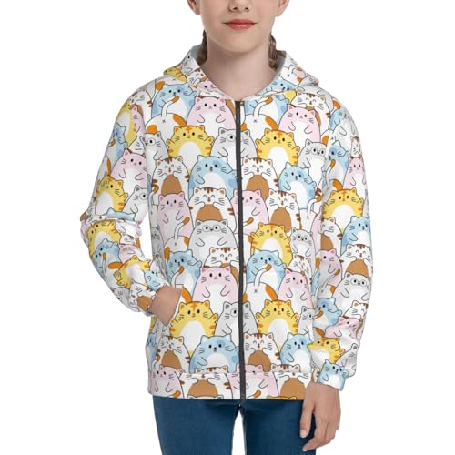 Cute Colorful Cat Cartoon Kid Hoodies Boys Zip Up Sweatshirts Girls Pullover with Pocket3