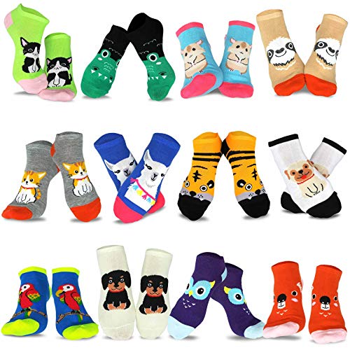 Image of Fun Novelty Low Cut Ankle Cute Socks School Dress Cheap Socks for Women Men Junior Teen 12pair 18pair