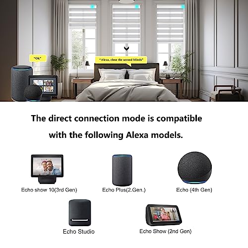Image of Changshade Smart Zebra Blinds Motorized Shades Remote Control for Indoor Windows, Custom Size Electric Solar Panel Power Automatic Work with Alexa, Google Home, Apple Homekit, Light Filtering Grey