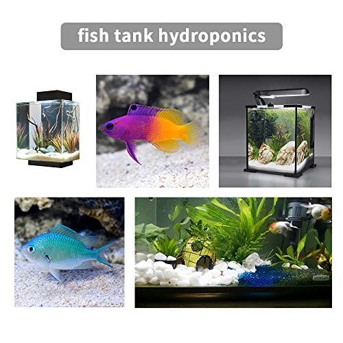 10Lb Natural Decorative Polished White Pebbles - Pebbles Polished 3/8" Gravel Size，Small Decorative River Rock Stones For Fresh Water Fish Animal Plant Aquariums, Landscaping, Home Decor Etc. (160-Oz) #TOP3