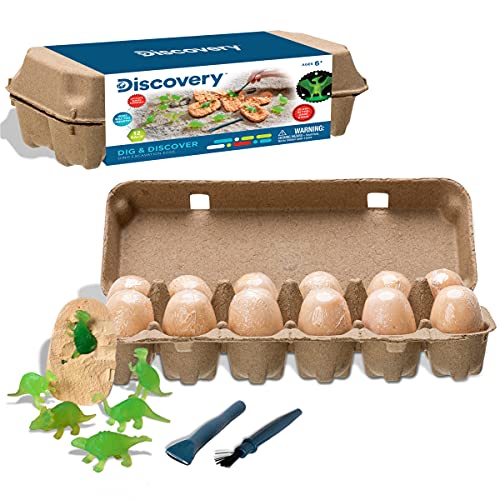 Kit STEM dinosaure œuf excavation Discovery jeu éducatif archéologie science