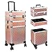 EBANKU 3-in-1 professioneller Make-up-Zugkoffer, Aluminium-Kosmetikkoffer, rollender Make-up-Koffer, extra großer Trolley, （Roségold）