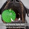 12pack-Squeaky-Dog-Toys-Spiky-Dog-Balls-Cleans-Teeth-and-Promotes-Dental-and-Gum-Health-for-Your-Pet-Squeaker-Ball-Toys-for-Aggressive-Chewers Squeaker Ball Toys for Aggressive Chewers