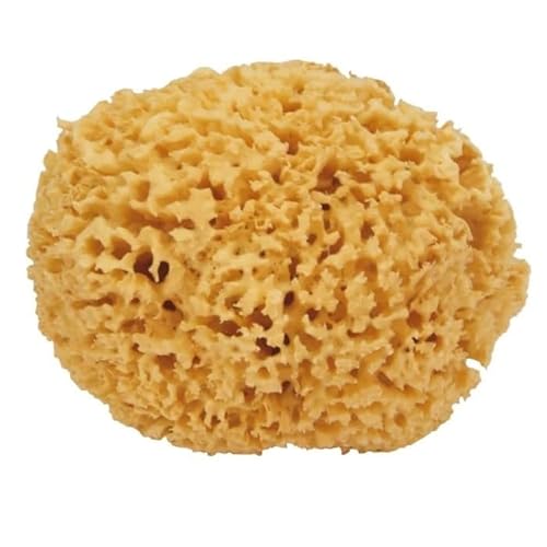 AZIAMOR Spugna Da Bagno Naturale in Fibra Marina Con Struttura a Nido d'Ape per Pelli Sensibili e Neonati, Ipoallergenica Senza Additivi Chimici, Beige, Media 8 cm