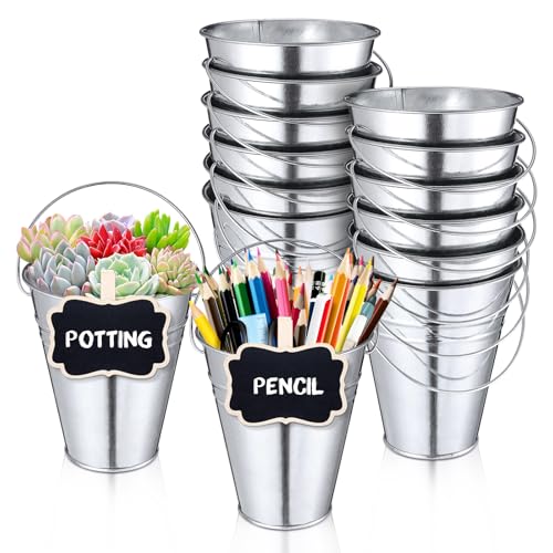 12PCS Small Galvanized Metal Buckets with Handle 12Chalkboard Clips, 5 x 4.5X 2.5 Inch Mini Metal Buckets Bulk Mini Pail Ice for Party Crafts Favors Plant Flower Sand Candy