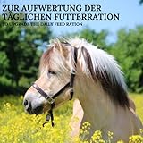 Stiefel Vitamin Liquid für Pferde, hochwertiger Futterzusatz mit wertvollen Vitaminen, Spurenelementen & Aminosäuren für Sport-, Leistungs- & Zuchtpferden, flüssige mit Dosierflasche, 1l