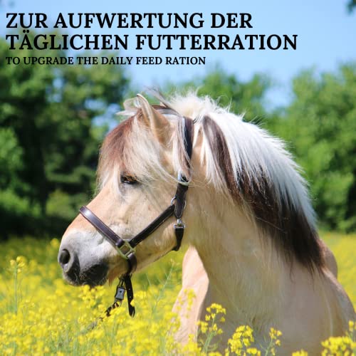 Stiefel Leinöl für Pferde, 100% naturreines Öl, kaltgepresst, kann den Fellwechsel, die Verdauuung & Haut unterstützen, flüssig mit Dosierflasche, 1l