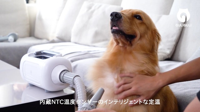 Amazon | 【ドライヤーと掃除機一体型】GULIGULI ペット用バリカン