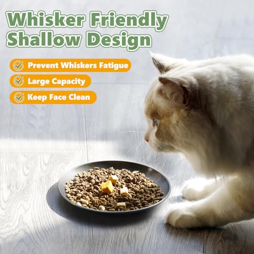 Petdream 4 Pcs Wide Whisker Friendly Cat Dishes Set 6.7", Stainless Steel Cats Bowls thumb #1