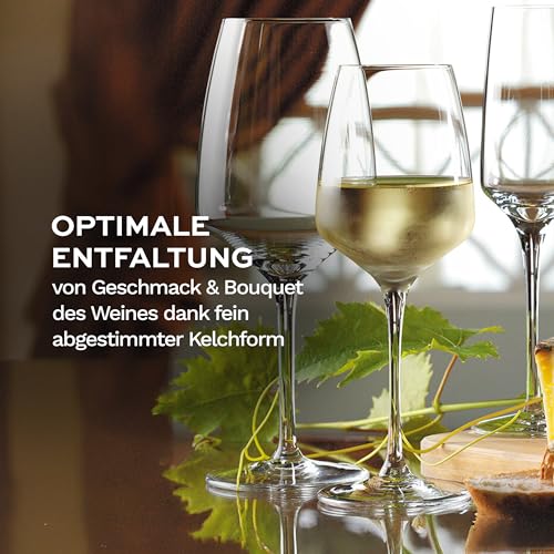 Foto von Stölzle Lausitz Weißweingläser Experience 6er-Set 350 ml – Hochwertige Weingläser ideal für Weißwein & Aperitif – Eleganter Weißweinkelch aus Kristallglas – spülmaschinenfest & Made in Germany