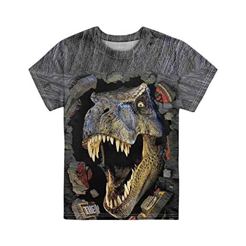 HUGS IDEA 3D Vivid T-rex Summer Outdoor Short T-Shirts Dinosaur Printed Pullovers Tops Apparel for Boys Kids Tee Shirts Tops Age 7-8 Cover