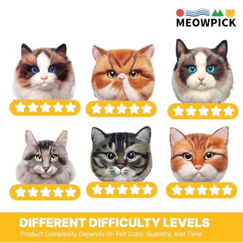 Image of MeowPick Needle Felting Kit with Cat Head Mold, Animals Needle Felting Set, DIY Wool Felt Materials Set with Felting Tool and Instruction for Quick Needle Felting Craft (Dragon Li)