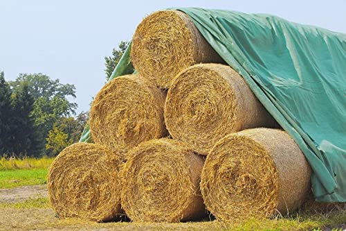 V01 Rüben Kartoffel Vlies Holzhackschnitzel Stroh Heu Biomasse 9,8 x 12,5m 140g/m²