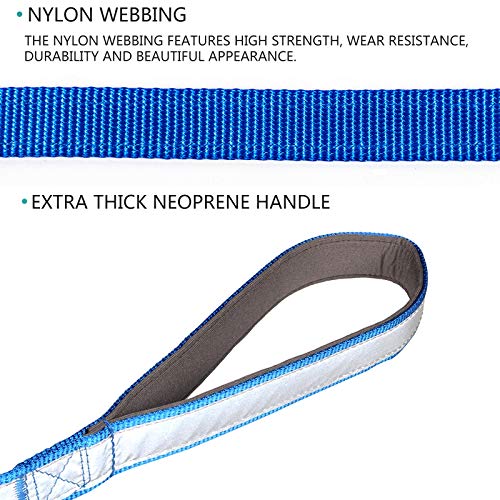 Collier de chien réfléchissant S anti-traction à boucle rapide