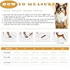yucca Dog Suspender Booties, Paw Boot Leggings Anti-Slip, Pet Snow Pants with Attached Boots Waterproof, Adjustable Suspender Shoes for Dogs Winter Snow Rain Hiking Paws Protector