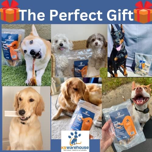 What Does It Mean When A Dog Chews On Sticks