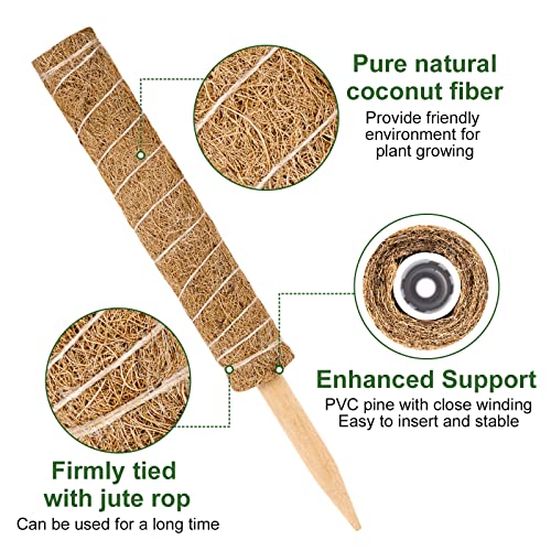 Vicloon Moss Pole, 2pcs Coir Totem Pole, Coir Moss Stick Plant Totem Moss Sticks for Indoor Plants Climbing Creepers - Image 3