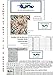 Orenco Originals Heraldry Griffin by William Morris Counted Cross Stitch Pattern