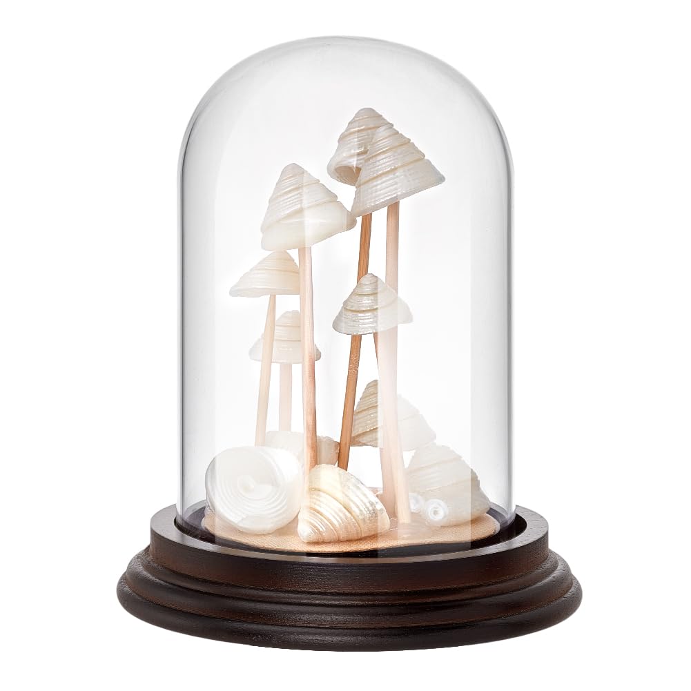 PH PandaHall 4.3x5.1 inch Cloche Glass Dome Display Glass Bell Jar with Wooden Base, Decorative Clear Centerpiece Stand for Flower Storage Home Christmas Party Favor Decoration