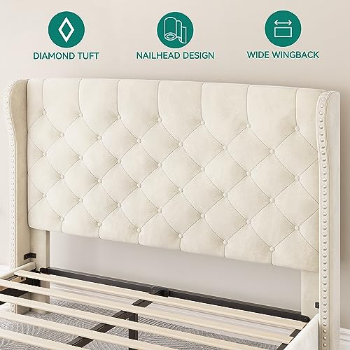 DWVO Queen Bed Frame, Elegant Velvet Upholstered Platform with Wingback Design, Nailhead Trim, Button Tufting, Sturdy Slats, and Easy Assembly, Luxurious and Functional Addition for Bedrooms