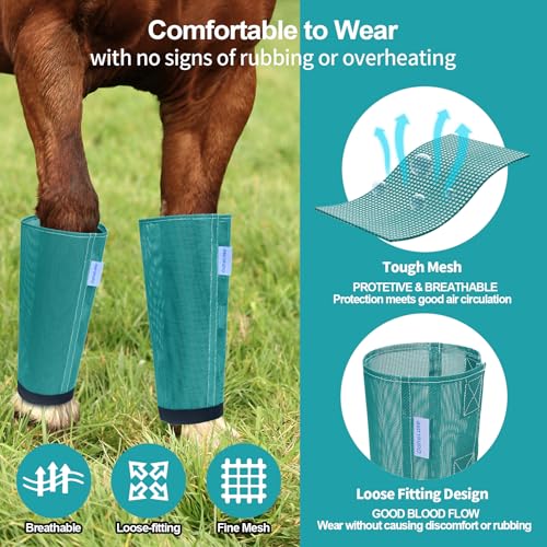 Image of Mesh Horse Fly Boots Set of 4, Loose Fitting Leggings for Horses, Reduce Stressful Stomping, Breathable Adjustable and Universal Fit for 4 Legs, Reliable Stay Put (Turquoise)