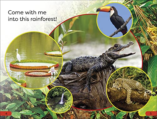 DK Super Readers Pre-Level Into the Rainforest