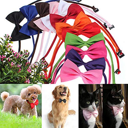 HshDUti Haustier-Fliege mit verstellbarem Halsband, einfarbig, verstellbar, für kleine, mittelgroße und große Hunde, Welpen, Katzen, für Party, Hochzeit, Geburtstag, Rot